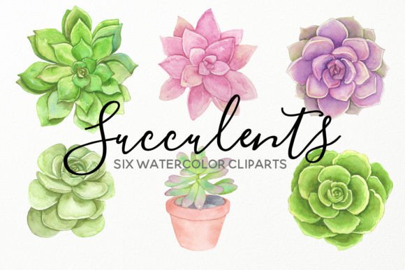 Download Water Succulents Hand Painted Cliparts - Cliparts Collection