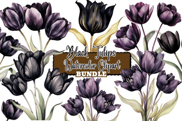 Download Black Tulips Flowers Watercolor Clipart - Tulips Collection
