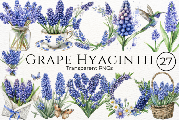Download Grape Hyacinth Watercolor Cliparts - Cliparts Collection