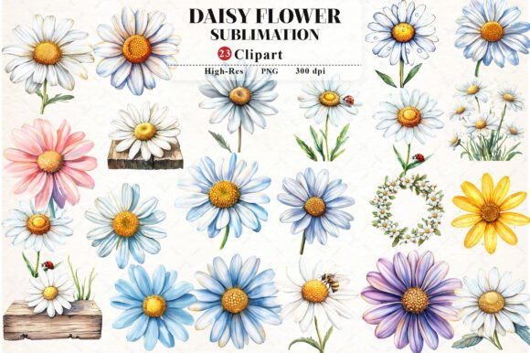 Download Daisy Flower Watercolor Cliparts - Cliparts Collection